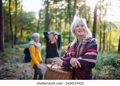 Senior Women Friends Walking Outdoors In Forest.