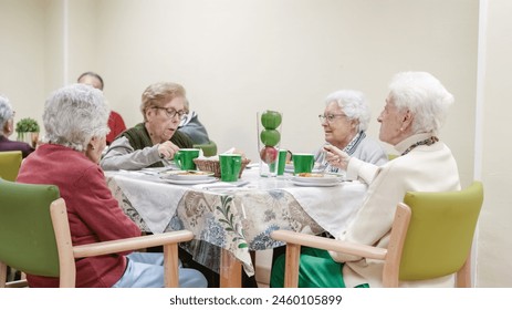 Senior women having lunch together at dining table in nursing home - Powered by Shutterstock