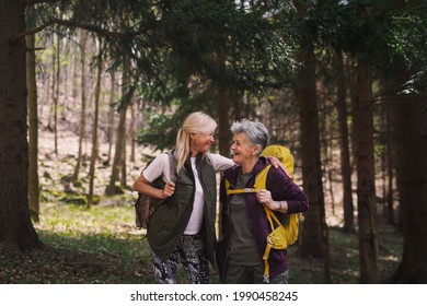 Senior Women Hikers Outdoors Walking In Forest In Nature, Talking.