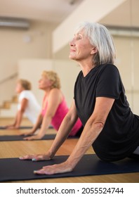 Senior Women Practicing Cobra Pose During Group Yoga Training.