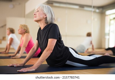 Senior women practicing cobra pose during group yoga training. - Powered by Shutterstock