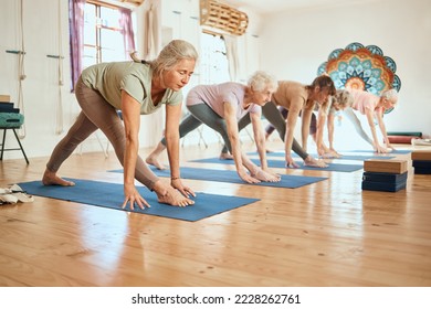 Senior yoga, pilates and fitness gym class of elderly women friends training for health and wellness. Workout in a studio for mindfulness and zen sports exercise for the body and mind to meditate - Powered by Shutterstock