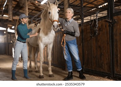 Senior and younger European women grooming horse in stable. - Powered by Shutterstock