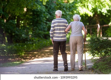 Seniors Walk Park Stock Photo 1093993295 | Shutterstock