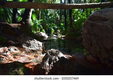 Sensational And Refreshing Hot Springs With Tropical Rain Forrest Located Near Emma Gorge Resort Just Off The Gibb River Road, Kununurra , Western Australia