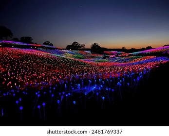Sensorio Field of Lights Over Rolling Hills with Trees in Background After Sunset