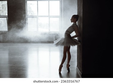 Sensual ballet dancer posing in studio over smoke haze special effect