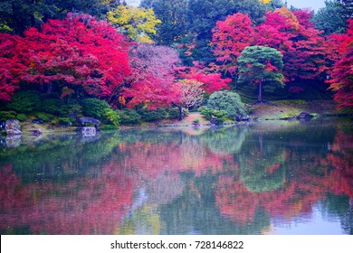 Kitaike Images, Stock Photos & Vectors | Shutterstock