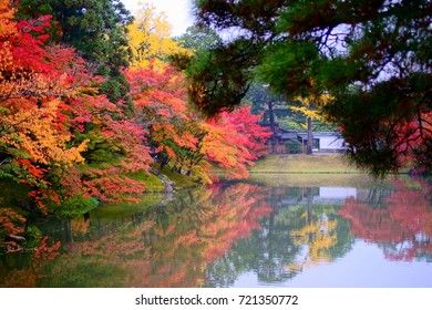 Sento imperial palace is japan palace,Maple reflected in the lake(reed islande) of Kyoto imperial palace ,zen garden in scenic area of Kyoto ,JAPAN. Autumn background.
