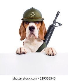 14,411 Dogs soldier Images, Stock Photos & Vectors | Shutterstock