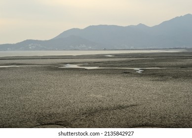 It is Seondu-ri Beach on Ganghwado Island. The tide is coming in along the tidal valley. These are the scenery where beautiful and various lines are created on a cloudy afternoon.