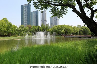 37,314 Fountain forest Images, Stock Photos & Vectors | Shutterstock