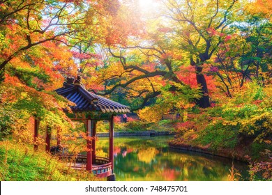 7,144 Changdeokgung palace Images, Stock Photos & Vectors | Shutterstock