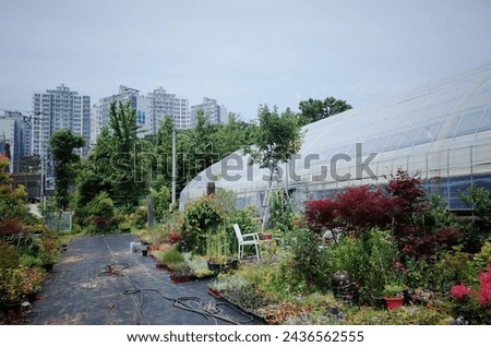 Seoul Gardener, Korean Landscape, Gardener's Studio