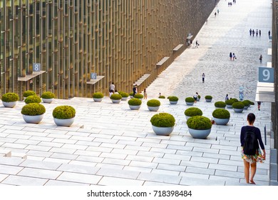 Ewha Womans University Images Stock Photos Vectors Shutterstock