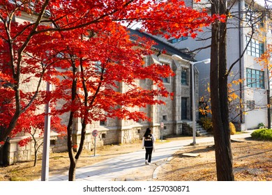 SEOUL, KOREA - NOV, 12, 2018: Beautiful autumn in campus of Ehwa woman university