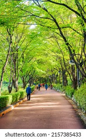 Seoul, South Korea - October 14, 2017: Residents Walking Along Scenic Green Park At Downtown. The Park Is A Popular Recreational Gathering Place Of Seoul.