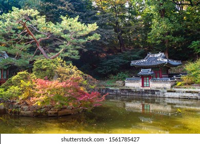 SEOUL, SOUTH KOREA - OCTOBER 31, 2019: Colorful Pine Tree In Buyeongji Pond With Buyongjeong Pavilion In Huwon Secret Rear Garden Of Changdeokgung Palace Complex In Seoul City On Autumn Day