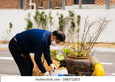 Seoul, South Korea-December 2020: Korean Old Man Wearing Mask Grabbing A Plastic Garbage With Gloves At The Front Yard House