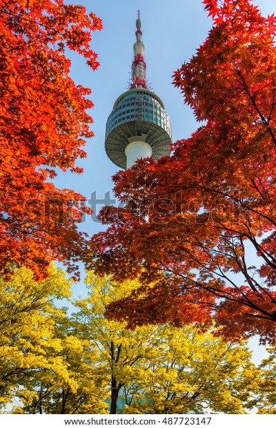 Seoul Tower Autumn Maple Leaves Namsan Stock Photo (Edit Now) 487723147