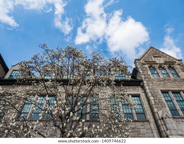 Seoulkoreamarch 23 Ewha Womans University Facade Stock Photo Edit