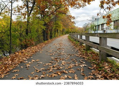 Separated bike and walking path, covered by dried fallen leaves, along the main road on a beautiful autumn day in Watertown, MA, USA - Powered by Shutterstock