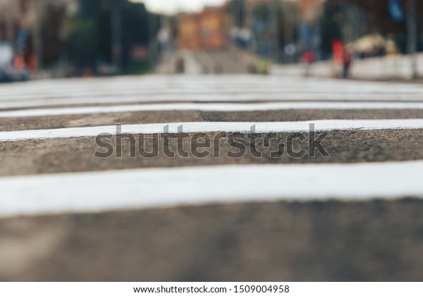 Separation bars on the track. Double solid strip\
on the road. The prospect of a close-up road. Two white stripes on\
the asphalt.