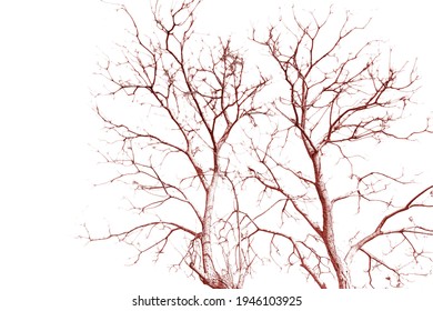 The sepia color of the tree branches is a beautiful natural art that is commonplace. - Shutterstock ID 1946103925