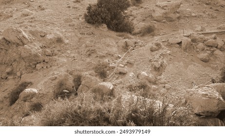 Sepia Tone Rocky Landscape Aerial View Sparse Vegetation - Powered by Shutterstock