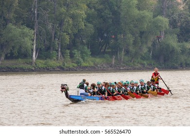 September, 2015  Red River In Winnipeg, MB, Canada Team Building Activity During Rowing Dragon Boat Race