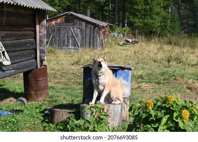 September 8, 2021 MI-8 Helicopter, Babikovo Camp, Uvatsky District Of Tyumen Region, Russia, Nature Views.