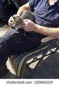 September 9, 2022. Meenashammer, Co. Donegal, Ireland. A Man Sitting Outside With A Kitten On His Lap, Basking In The Sun. 