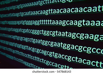 Sequencing Of The Genome. The Sequence Of Nucleotide Bases In The DNA Molecule.