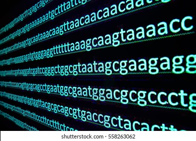 Sequencing Of The Genome. The Sequence Of Nucleotide Bases In The DNA Molecule.