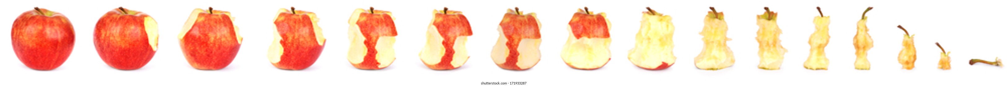 Sequential images of eating a red apple from a full apple to the stem. Clipping path separately for each apple