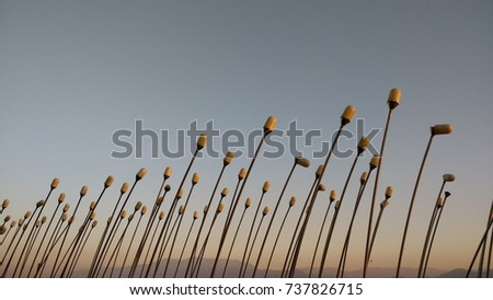 Sequential Lamps on the Beach