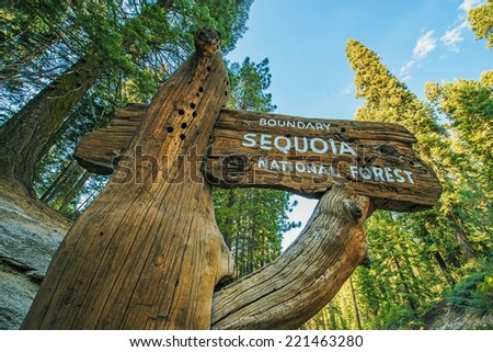 Sequoia National Forest Wooden Sign on the Sequoia National Park Road. California, United States.