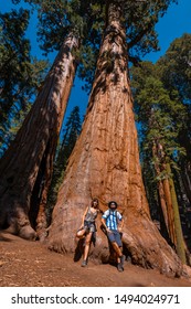 Sequoia National Park, California / United States »; August 2019: A Couple Sitting Under A Sequoia Tree In The Park