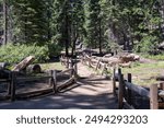 Sequoia National Park and Kings Canyon. Giant sequoia trees, forest trails, wooden fence and hiking trail, Kings River Canyons