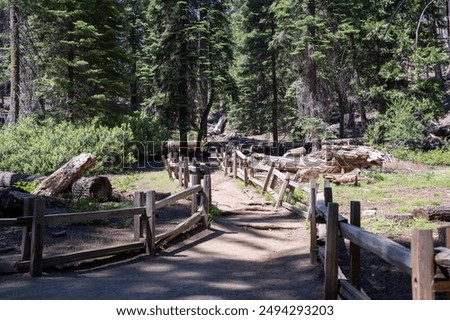 Sequoia National Park and Kings Canyon. Giant sequoia trees, forest trails, wooden fence and hiking trail, Kings River Canyons