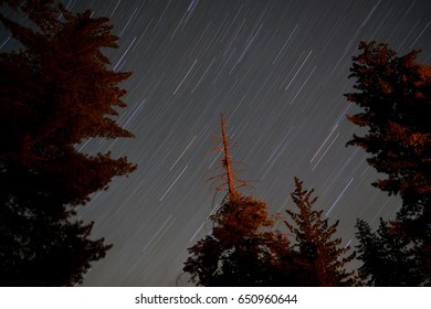 Sequoia National Park Night Sky