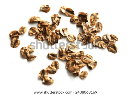 Sequoia seeds isolated on white