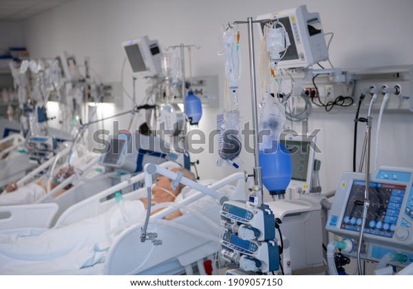 341 Hospital Belgrade Images, Stock Photos & Vectors | Shutterstock