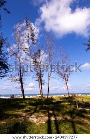 Serdang Beach is covered with pine trees with white sand