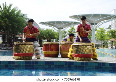 SEREMBAN, MALAYSIA -FEBRUARY 2, 2017: Traditional Chinese Drums. Played Together With Lion Dance By Trained Drummers. Mainly Made From Hard Wood And Selected Animal Skin. 
