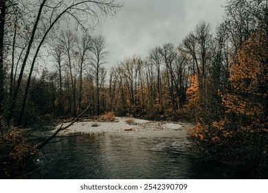 A serene autumn scene with bare trees reflecting on a tranquil river under an overcast sky. The earthy colors and calm water create a peaceful, moody atmosphere in this untouched woodland setting. - Powered by Shutterstock