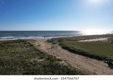 A serene beach landscape with a clear blue sky and ocean waves, featuring a sandy path through grassy dunes. - Powered by Shutterstock