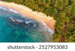 Serene beach landscape in Sri Lanka at golden hour. The sun sets over a tranquil beach in Sri Lanka, casting warm hues over the palm trees and gentle waves along the shore.