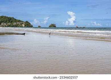 a serene beach with a lone bird in shallow water, pristine white sand, clear calm water, gentle waves, a small anchored boat, lush green island, clear blue sky, and fluffy white clouds. The scene exud - Powered by Shutterstock