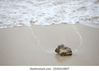 A serene beach scene featuring a solitary rock surrounded by gentle waves. The calm atmosphere and soft sand evoke a sense of peace and relaxation. - Powered by Shutterstock